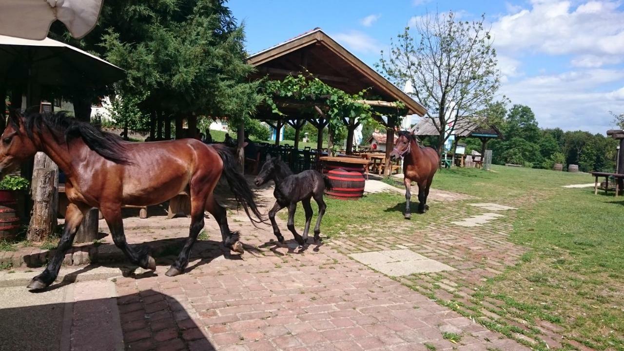 Kezele